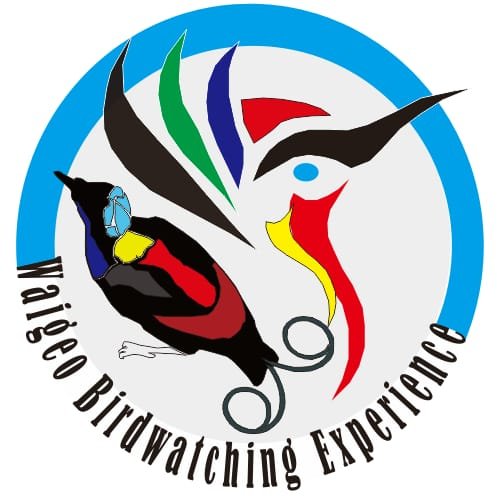waigeobirding.com